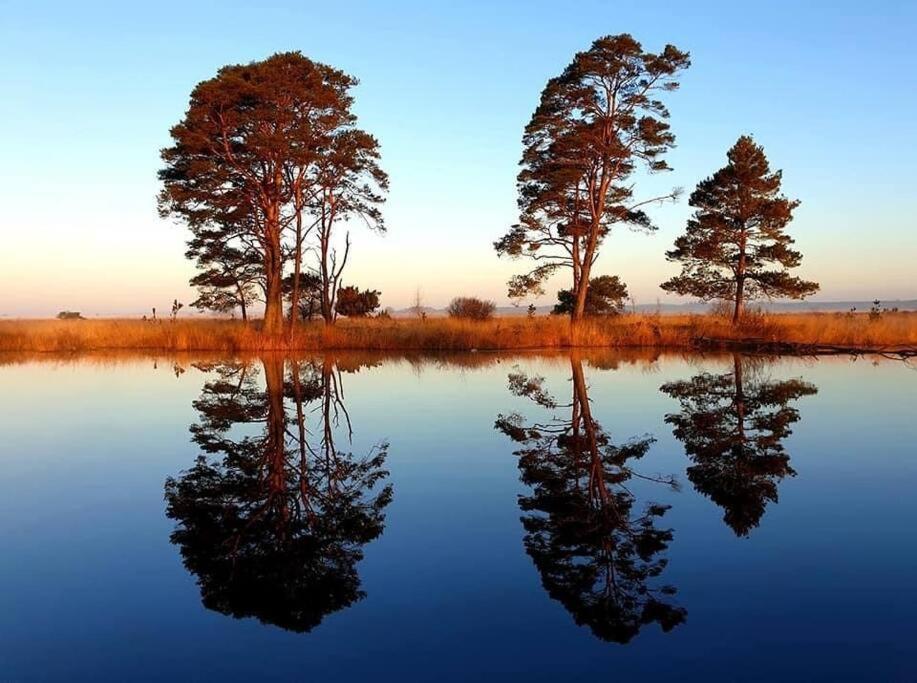 Вилла Sfeervol Chalet In Drenthe Bij Het Dwingelderveld Спиер Экстерьер фото