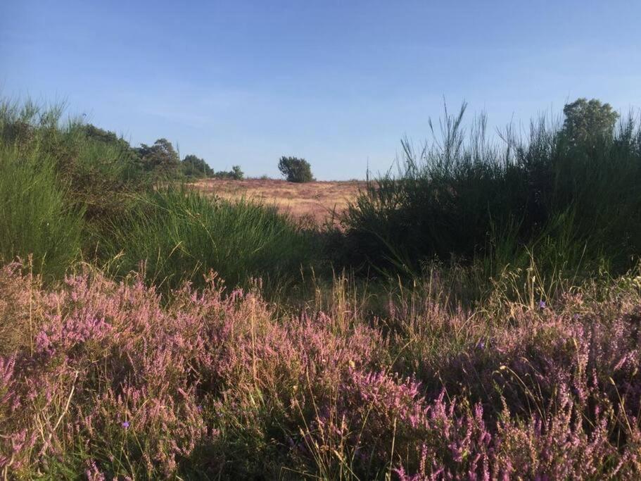 Вилла Sfeervol Chalet In Drenthe Bij Het Dwingelderveld Спиер Экстерьер фото