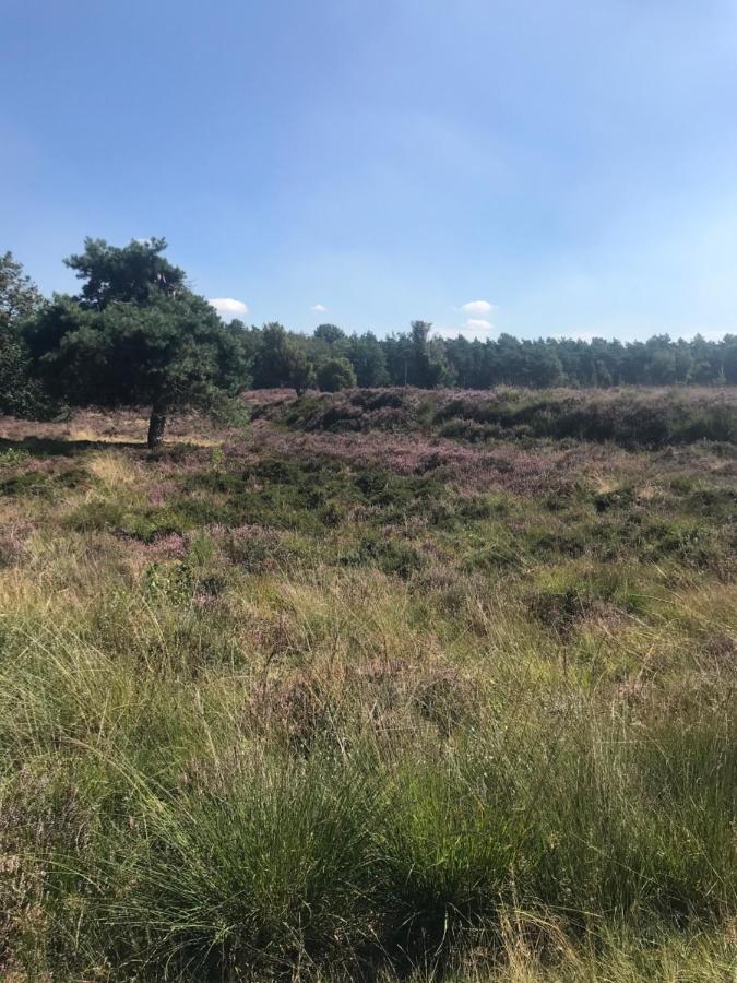 Вилла Sfeervol Chalet In Drenthe Bij Het Dwingelderveld Спиер Экстерьер фото