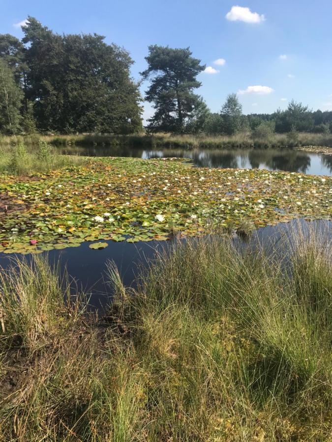 Вилла Sfeervol Chalet In Drenthe Bij Het Dwingelderveld Спиер Экстерьер фото