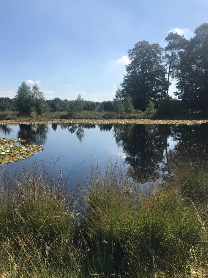 Вилла Sfeervol Chalet In Drenthe Bij Het Dwingelderveld Спиер Экстерьер фото
